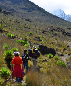 05 Days Mt Kenya Budget Climbing Naro Moru Route Trekking Climbing Mt Kenya