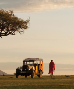 13 Days Masai Mara Nakuru Amboseli Manyara Serengeti Ngorongoro