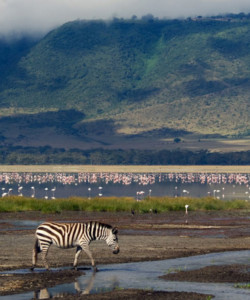 4 Days Tanzania Budget Safari Manyara Ngorongoro