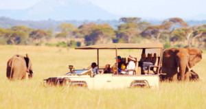 8-days-amboseli-lake-manyara-ngorongoro-crater-serengeti-and-taita-hills-saltic