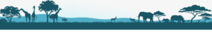 footer-background