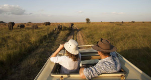 05-days-tanzania-lodge-safari