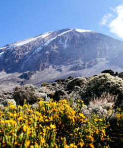 06 Days Mt Kilimanjaro Marangu Route