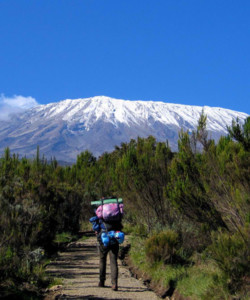 07 Days/ 06 Nights Mount Kilimanjaro Climb Marangu Route
