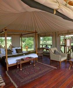 3 Days Masai Mara Camping Safari