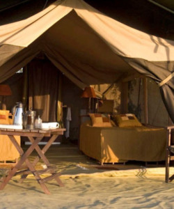 4 Days Masai Mara Lake Nakuru Camping Safari