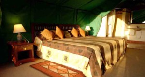 6-days-kenya-lodge-safari-sweetwaters-lake-nakuru-lake-naivasha-masai-mara