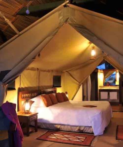 6 Days Kenya Lodge Safari Sweetwaters Lake Nakuru Lake Naivasha Masai Mara