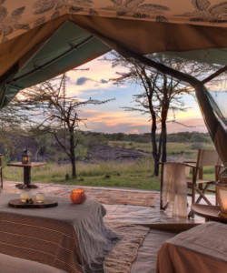 7 Days Kenya Camping Safari-masai Mara Lake Naivasha Lake Nakuru Amboseli