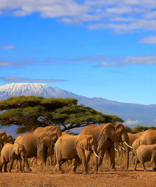 07-days-private-safari-maasai-mara-isebania-serengeti-and-ngorongoro-crater-finish-at-nairobi