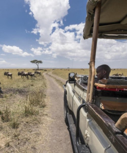 10 Days Kenya and Tanzania Group Joining Maasai Mara L Nakuru AmboseliArusha L Manyara Serengeti and Ngorongoro Crater