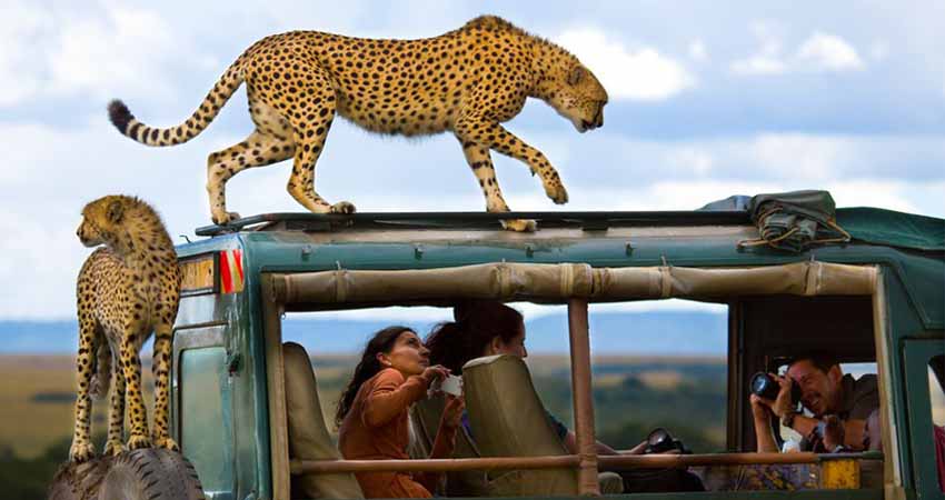 Big Time Safaris - About Us