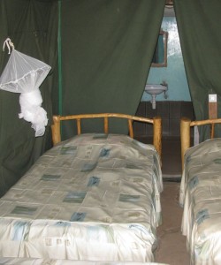 3 Days Masai Mara Camping Safari