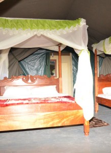 Camping Safaris