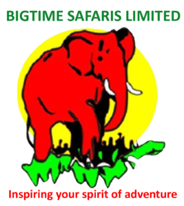 Logo-Bigtime