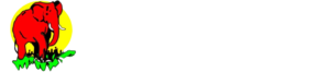 Logo Bigtime