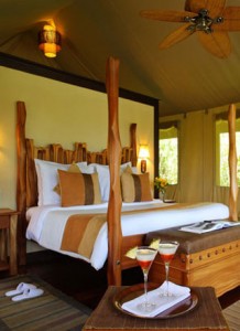 Lodge Safaris
