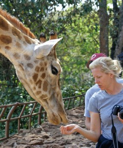 Karen Blixen Giraffe Centre Mamba Village 4hrs