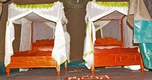 6-days-kenya-camping-safari-masai-mara-lake-nakuru-samburu