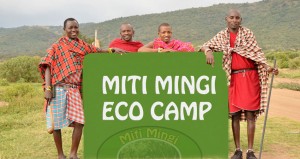 7 Days Kenya Camping Safari Masai Mara L Naivasha Lakuru Amboseli
