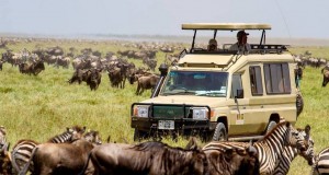 11 Days Kenya and Tanzania Group Joining Package