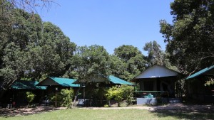 Kenya Camping Safari - Miti Mingi Eco Camp