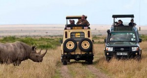 Kenya and Tanzania Group Joining Safari