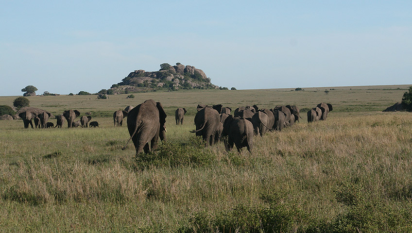 Private Safari Maasai Mara