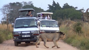Kenya Budget Travel