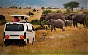 Kenya Camping Safaris