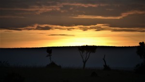 Big Time Safaris