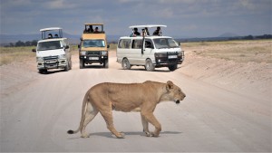 Big Time Safaris
